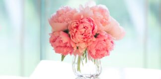 Know Why Getting Flowers Online is An Awesome Idea!! Know Why Getting Flowers Online is An Awesome Idea