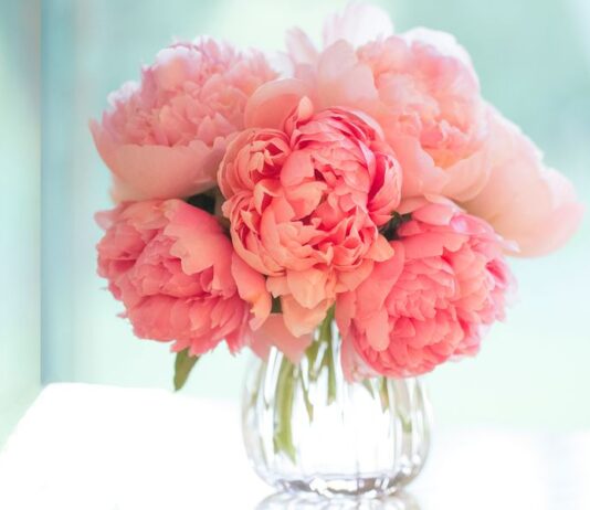 Know Why Getting Flowers Online is An Awesome Idea!! Know Why Getting Flowers Online is An Awesome Idea