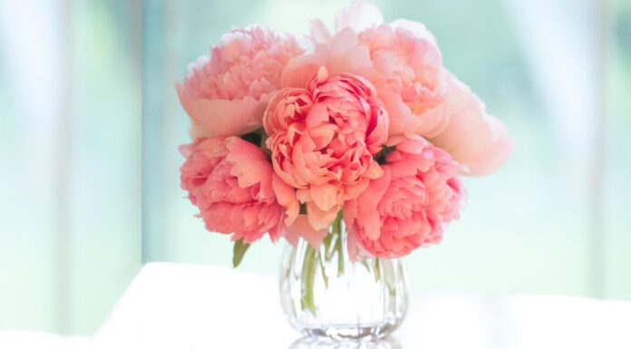Know Why Getting Flowers Online is An Awesome Idea!! Know Why Getting Flowers Online is An Awesome Idea