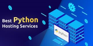 Python server hosting and its major benefits: Why to choose this server? Python server hosting