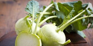 KOHLRABI – NUTRITIONAL VALUES AND HEALTH PROPERTIES. Kohlrabi