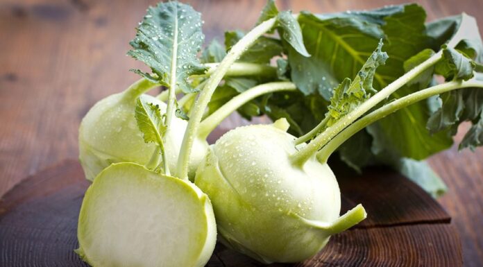 KOHLRABI – NUTRITIONAL VALUES AND HEALTH PROPERTIES. Kohlrabi