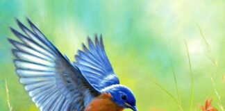 Benefits of Painting for Mental Health Benefits of Painting for Mental Health