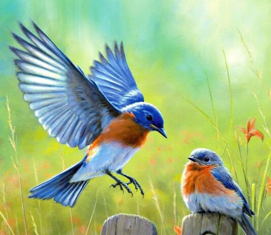 Benefits of Painting for Mental Health Benefits of Painting for Mental Health