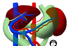 15 Most Trusted Liver Specialists in India