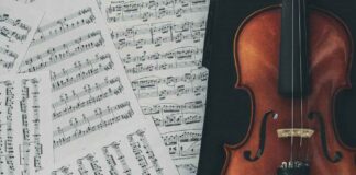 Beginner’s Guide: Things to Expect from Your Violin Lessons Beginner’s Guide: Things to Expect from Your Violin Lessons