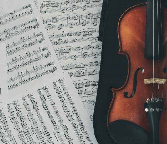 Beginner’s Guide: Things to Expect from Your Violin Lessons Beginner’s Guide: Things to Expect from Your Violin Lessons
