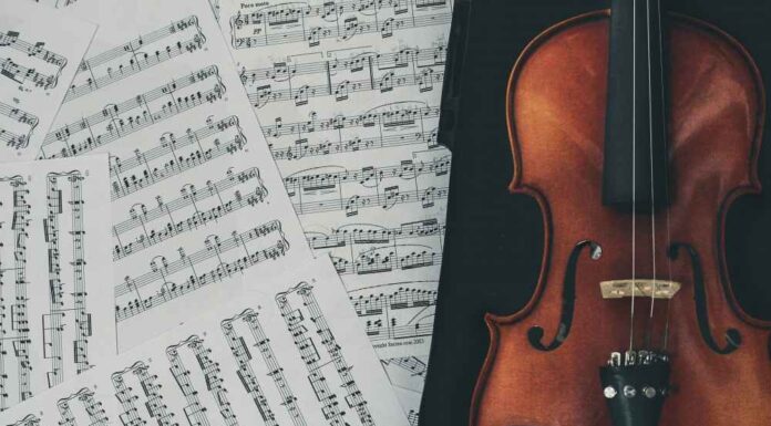 Beginner’s Guide: Things to Expect from Your Violin Lessons Beginner’s Guide: Things to Expect from Your Violin Lessons