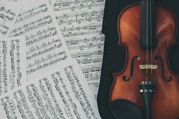Beginner’s Guide: Things to Expect from Your Violin Lessons