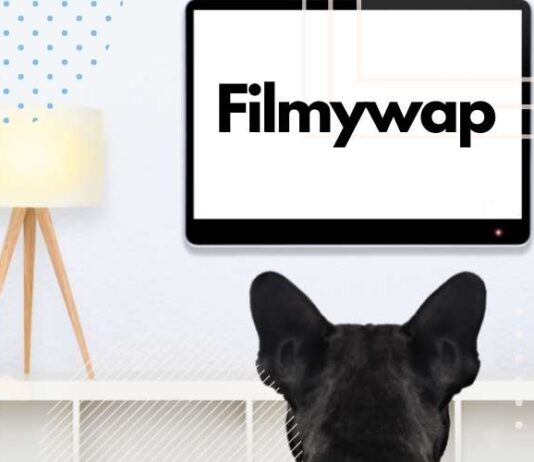 Filmywap – Free Download Bollywood, Hollywood, and Regional Movies Filmywap