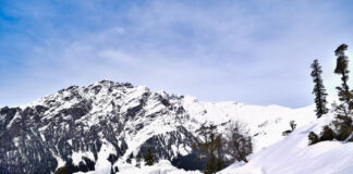 Get To Know More Information About Shimla shimla