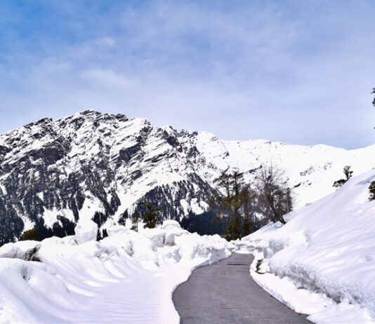 Get To Know More Information About Shimla shimla