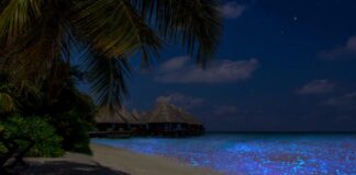 Maldives Luxury 5 days Tourist Package From India With Roaming Routes Maldives Tourist Package From India