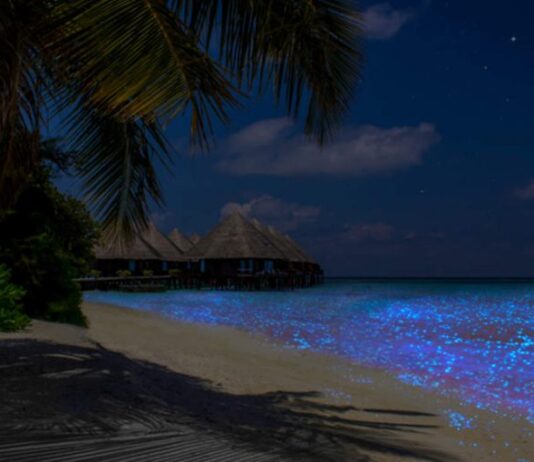 Maldives Luxury 5 days Tourist Package From India With Roaming Routes Maldives Tourist Package From India