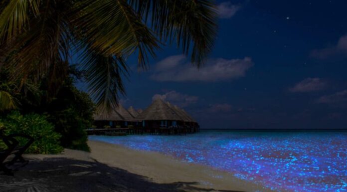 Maldives Luxury 5 days Tourist Package From India With Roaming Routes Maldives Tourist Package From India