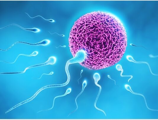 Is Medicine to Increase Sperm Count Safe to Use for Improving Bed-Time Medicine to Increase Sperm Count