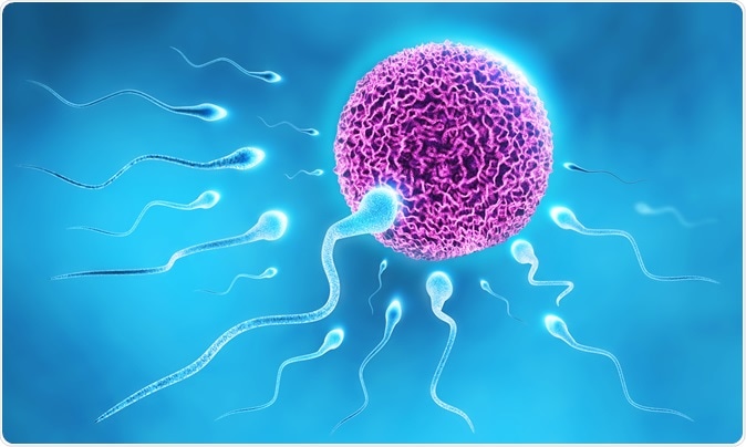 Medicine to Increase Sperm Count