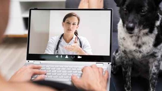 5 Tips that Will Help You Optimize Videos for Web 5 Tips that Will Help You Optimize Videos for Web