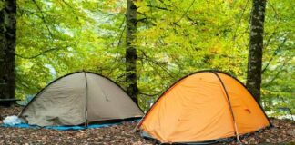 Swags Vs Tents- Which One to Choose? Swags Vs Tents- Which One to Choose?
