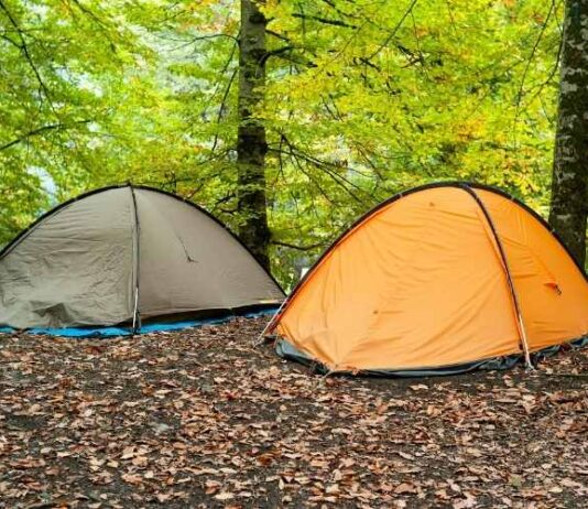 Swags Vs Tents- Which One to Choose? Swags Vs Tents- Which One to Choose?