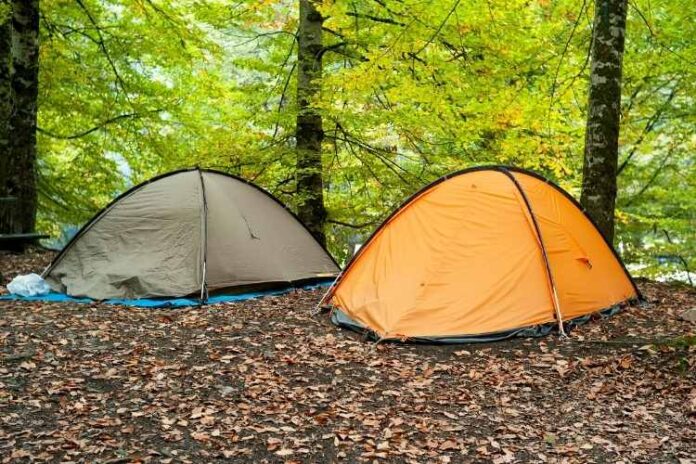 Swags Vs Tents- Which One to Choose?
