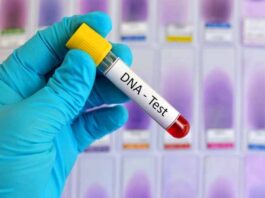 How DNA test kits make things more convenient