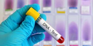 How DNA test kits make things more convenient How DNA test kits make things more convenient