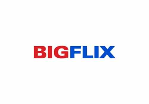 BigFlix
