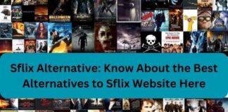 Sflix Alternative: Know About the Best Alternatives to Sflix Website Here Sflix Alternative