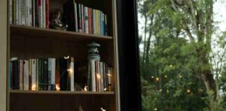 What Are the Top Features To Look For in a Smart Bookshelf? What Are the Top Features To Look For in a Smart Bookshelf