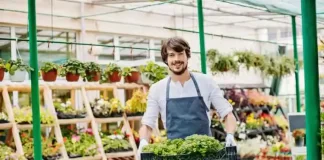 How Can Seniors Leverage Horticultural Skills To Build a Small Business? How Can Seniors Leverage Horticultural Skills To Build a Small Business
