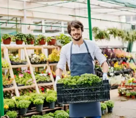 How Can Seniors Leverage Horticultural Skills To Build a Small Business? How Can Seniors Leverage Horticultural Skills To Build a Small Business