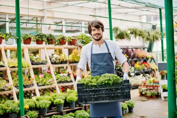 How Can Seniors Leverage Horticultural Skills To Build a Small Business