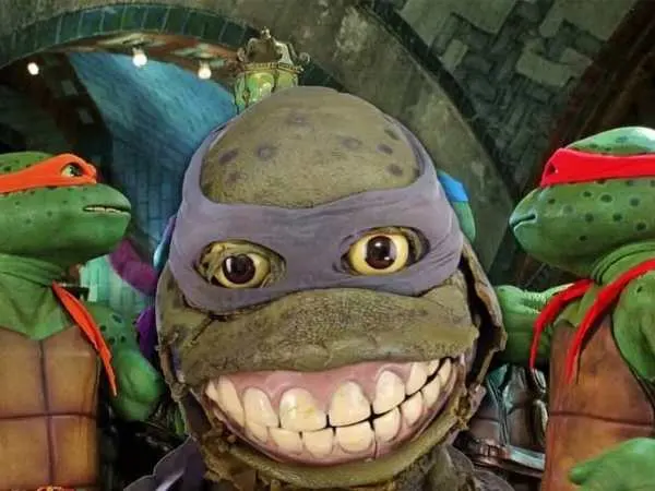 The Teenage Mutant Ninja Turtles